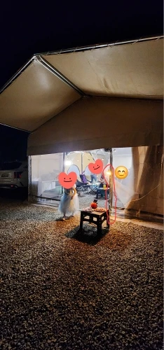 구매후기