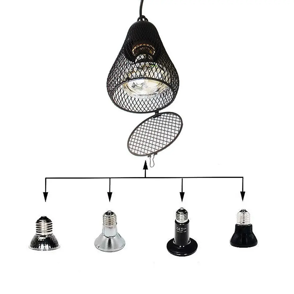 : Terrarios y Accesorios