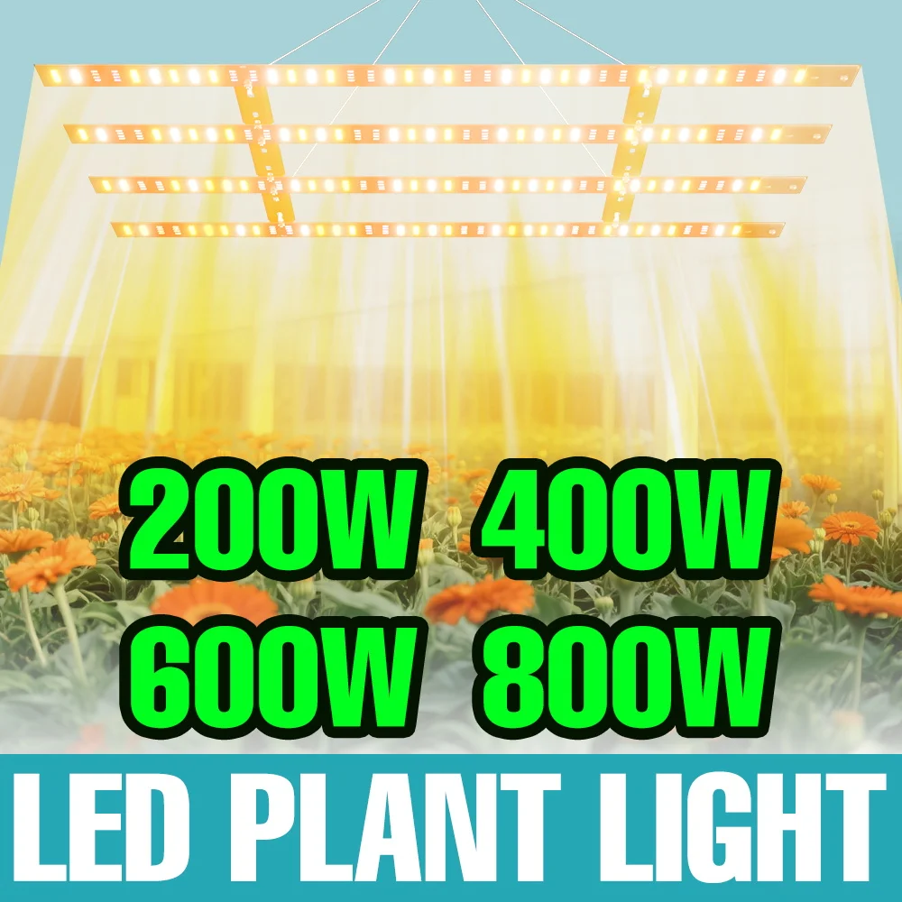 

800W LED Full Spectrum Plant Grow Lamp 220V Quantum Board Hydroponic Fill Light Greenhouse Tent Vegs Seedings Cultivate Lighting