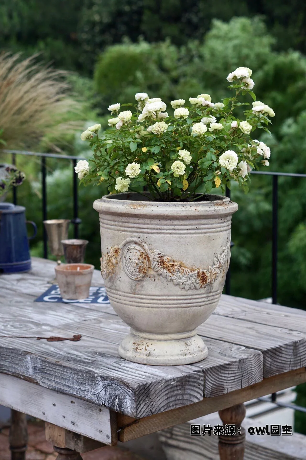 Wide mouth breathable wheat ears flower pot planting rose tulip lily courtyard balcony garden decoration