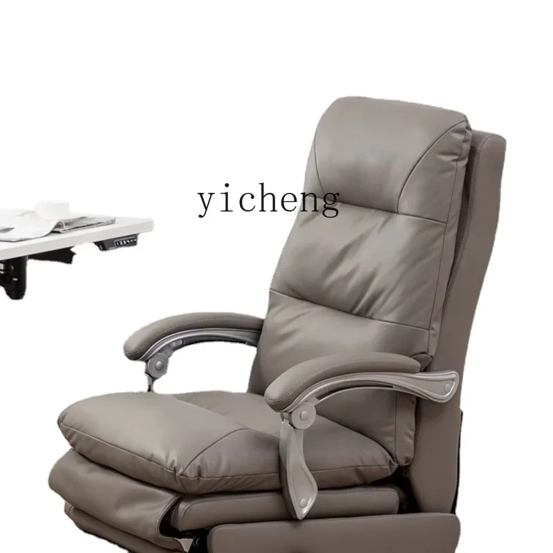 Zf Electric Boss Ch… - image