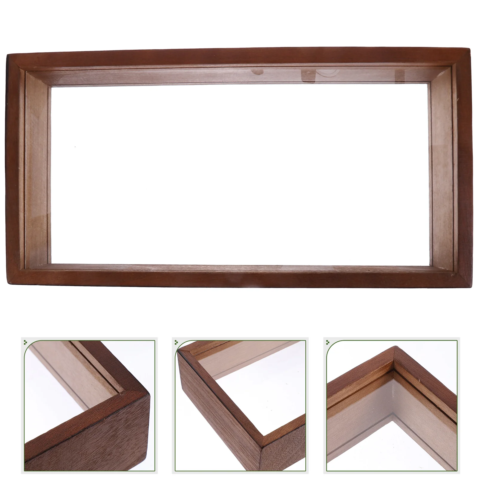 Picture Frame Specimen Shadow Boxes Display Pressed Leaf Decor Dry Photo Dried Flowers Showcase Baby