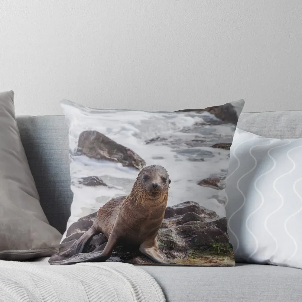 Sea Lion on the Shore Throw Pillow Decorative Pillow Covers For Sofa christmas ornaments 2025 Cushions Cover pillow