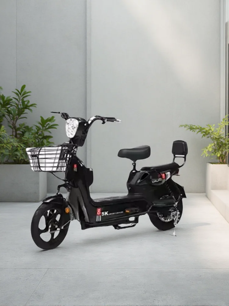 AliExpress NONE High Quality Electric Bicycle with Rear Hub Motor Factory Wholesale 48V 3 Speed Steel Frame Digital Sensor Smart Type