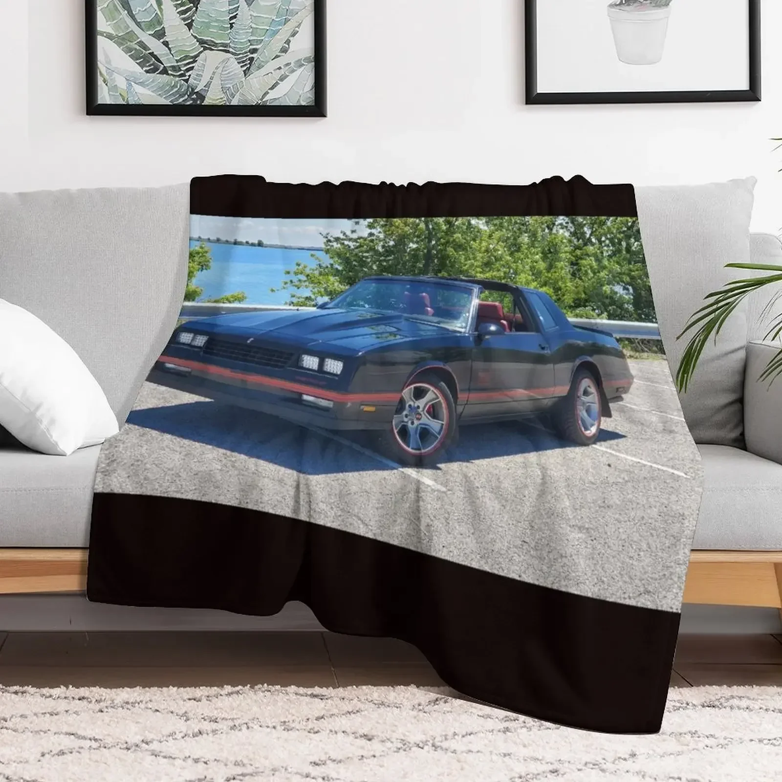 

87 monte carlo shorefront Throw Blanket Shaggy Furrys Blankets