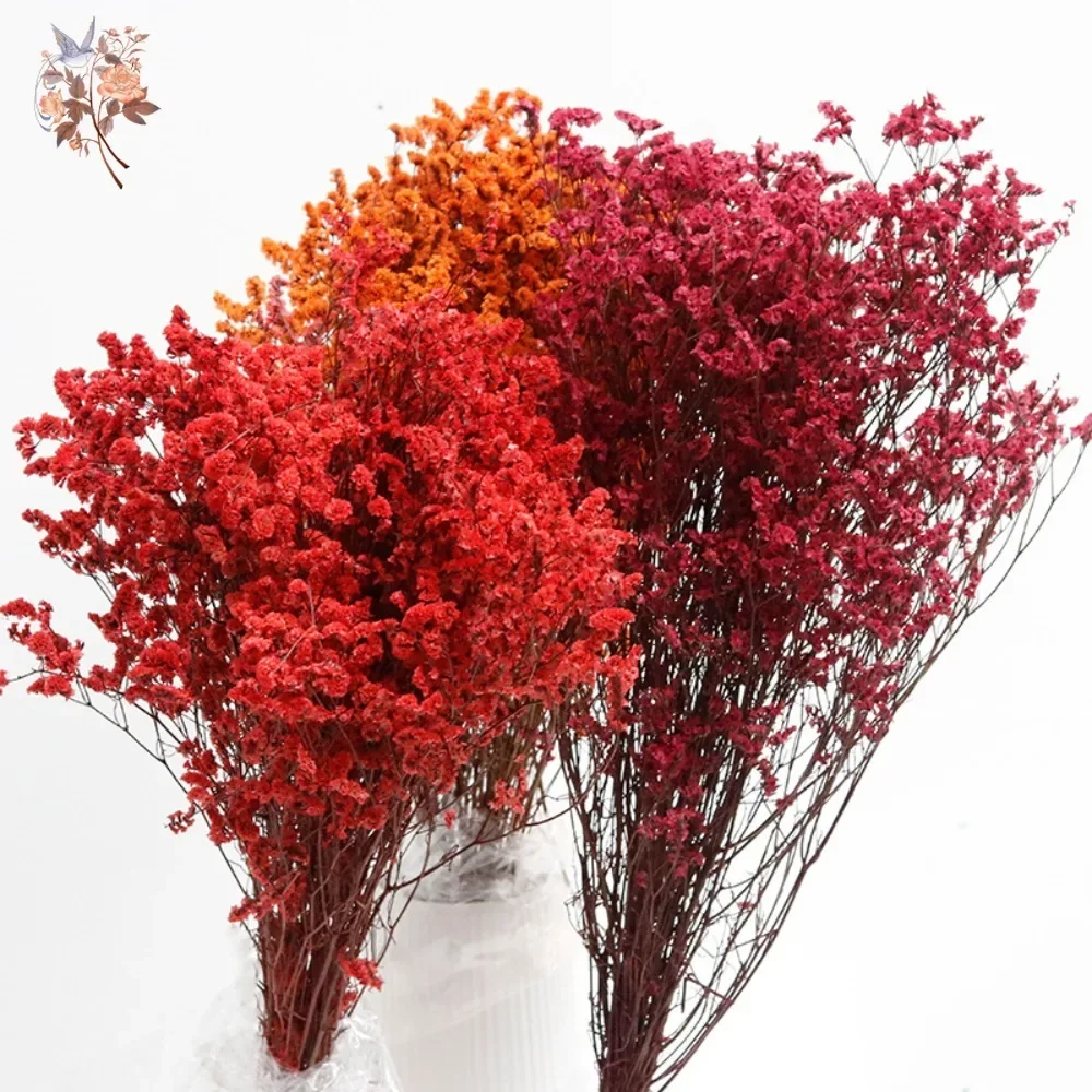 الطبيعية المحفوظة كريستال العشب الملونة المجففة زهرة باقة الزفاف ديكور الأبدية عاشق الزهور البوهيمي ديكور المنزل DIY بها بنفسك