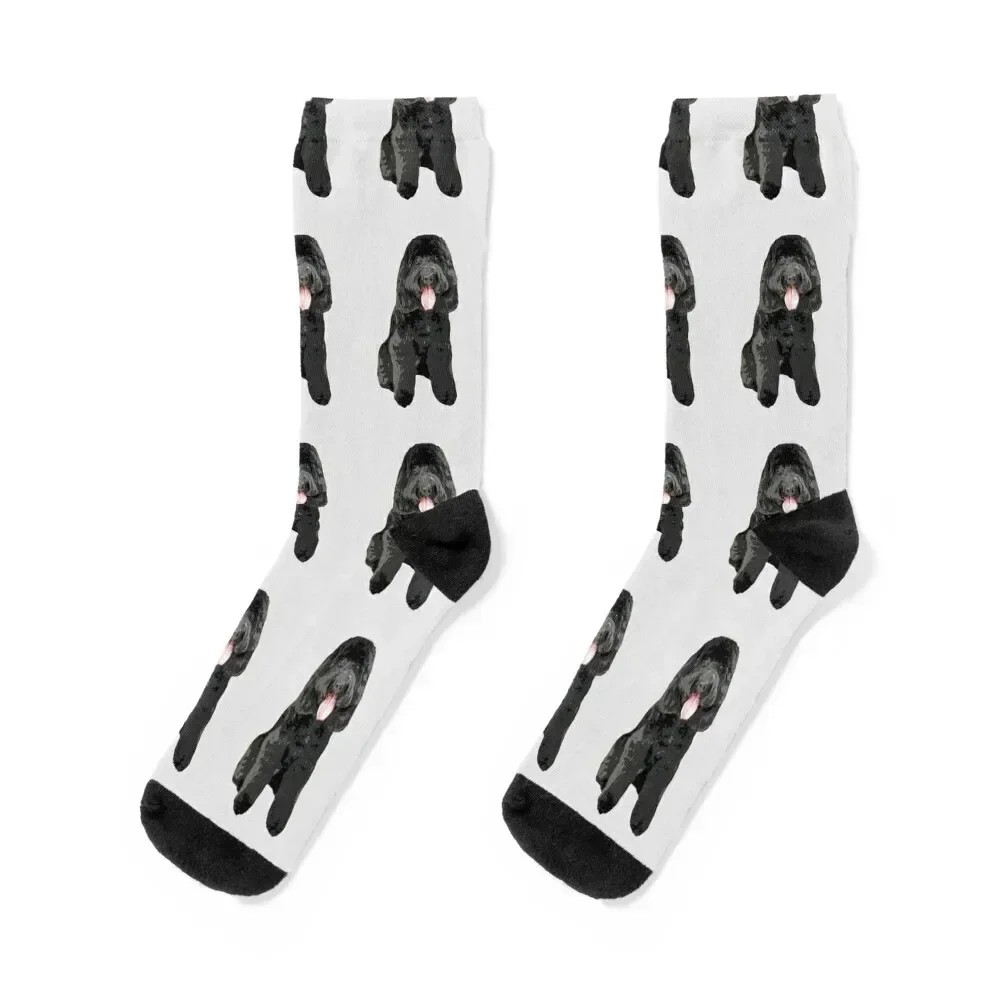 Cockapoo Cockerpoo Black Cutie Doodle Dog Socks Rugby Novelties japanese fashion hiphop Socks Men Women's