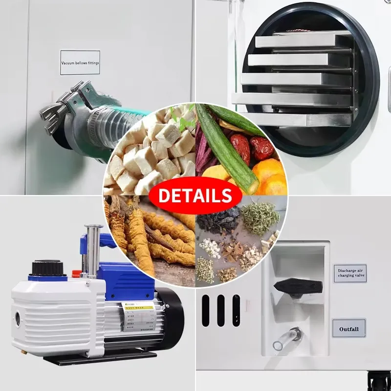 Small Freeze Dryer For Pet Food Fruits Vegetables Lyophilizer Machine Restaurant Home Lab