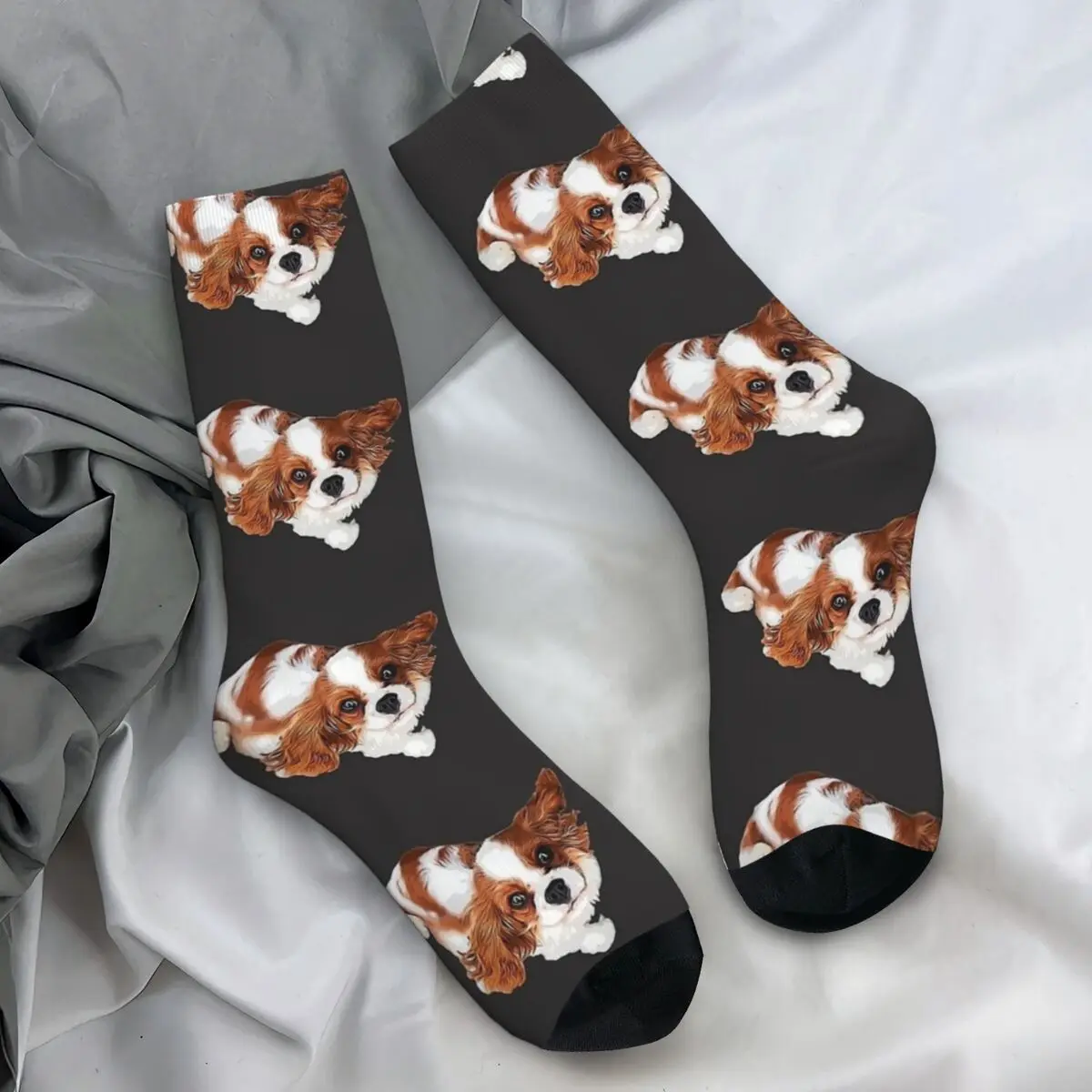 Cavalier King Charles Spaniel Looking Up Socks Cute Dog Fashion Stockings Autumn Anti Sweat Unisex Men Socks Medium Soft Socks