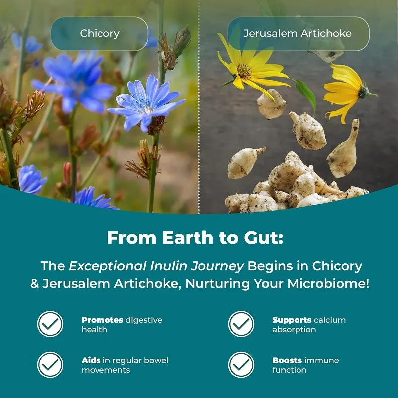 SapienBiotics - Advanced Probiotic Formula To Promote Gut and Digestive Health, Maintain Regularity, and Boost Immunity