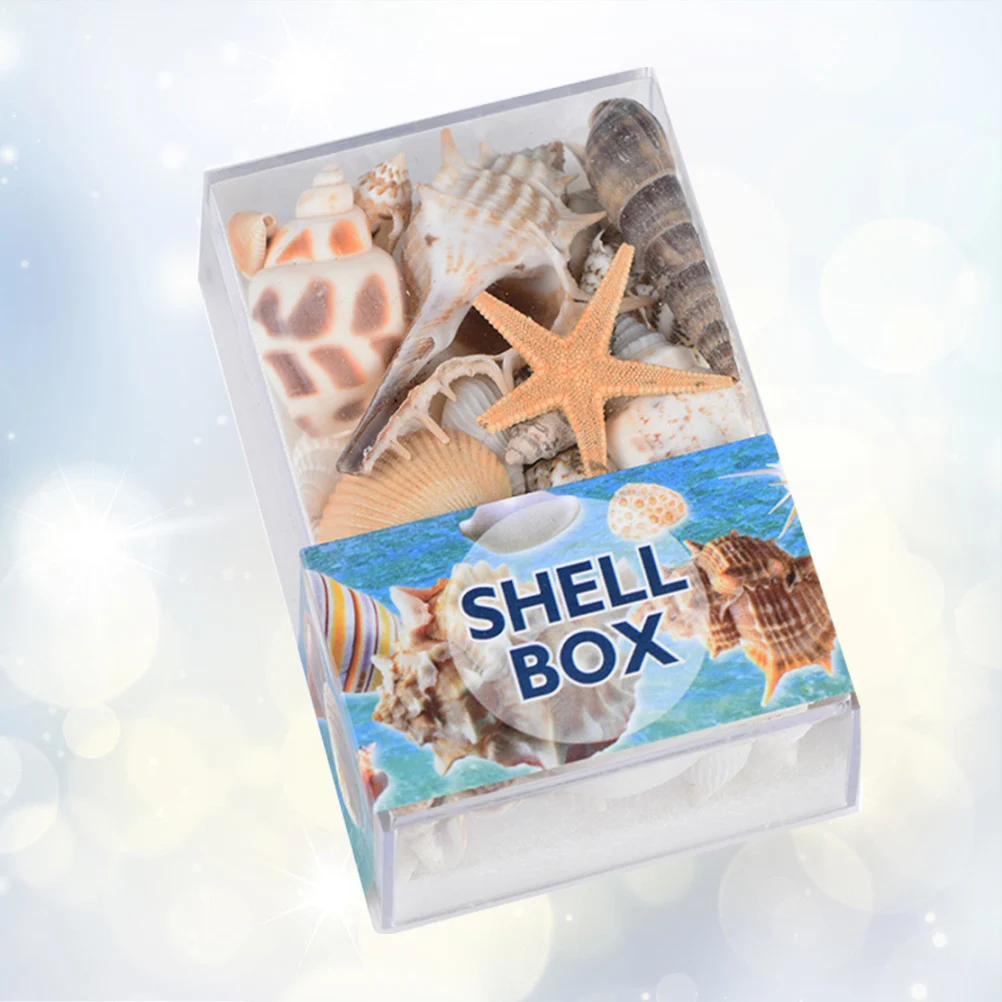 1 caja de espécimen de concha, adornos artesanales de concha grande Natural para decoración del hogar Diy, accesorios para pecera de conchas marinas de playa