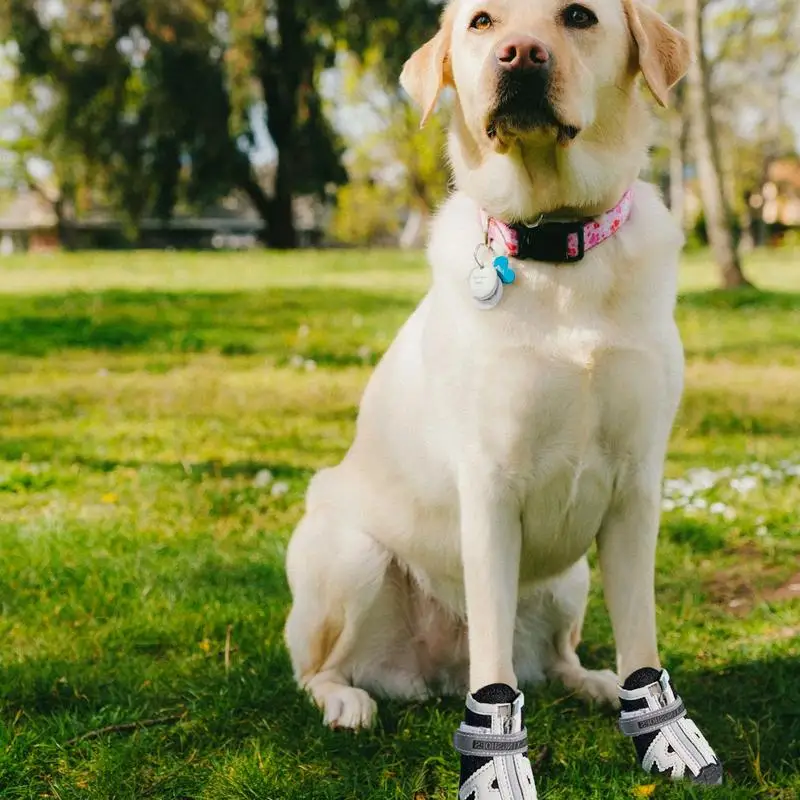 Respirável Anti-Slip Dog Boots, Paw Protector, Rugged Rubber Sole, Botas de verão, 4pcs, 5 tamanhos