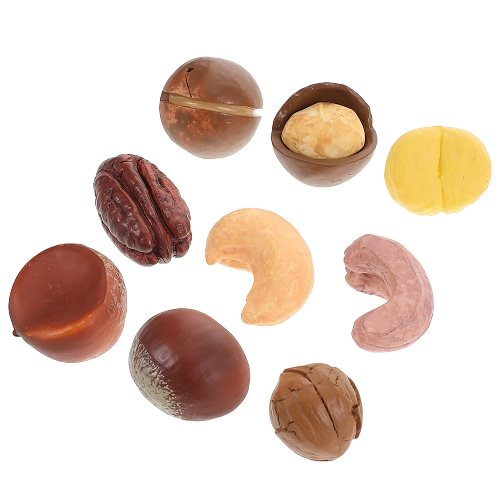 9 Pcs Macadamia Nut Model Crafting Decorations Artificial Models Props Photography Resin