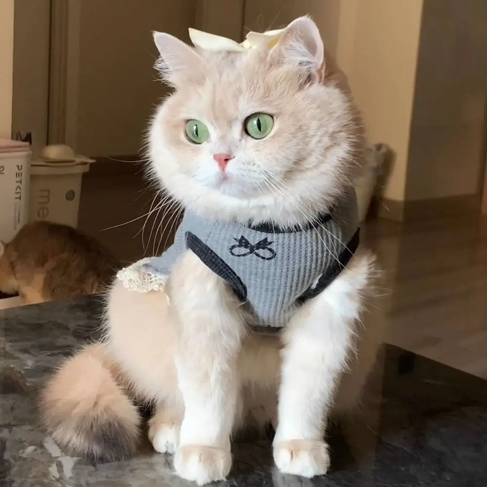 Chaleco Transpirable para Mascotas con Borde de Encaje, Cómodo, de Manga Corta, con Diseño de Gato, Camiseta Interior para Perros y Mascotas Pequeñas