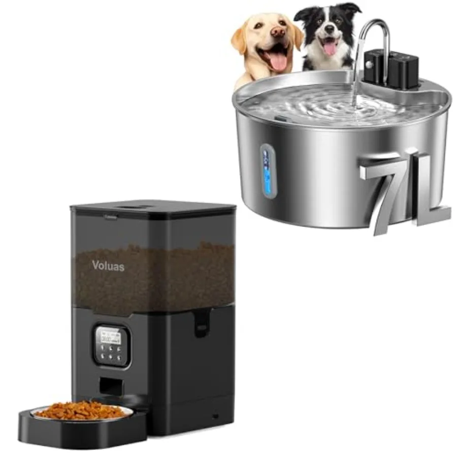 Automatic 6L Cat Fe…