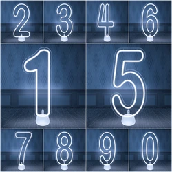 Birthday Numbers LED 55cm Neon Numbers Sign for Baby Birtdhay Celebration Party Decor Stand Up and Wall Mounted Available