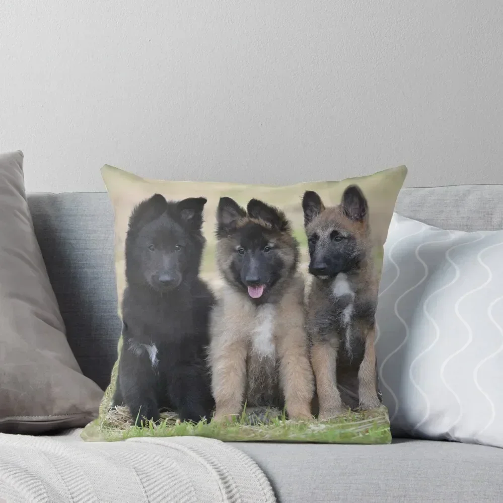 2015 Groenendael Tervueren & Lakenois babies Throw Pillow bed pillows Pillowcase Cushion pillow