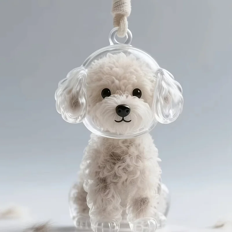 2pcs Dog Hair Storage Box Puppy Hair Memorial Keepsake Capsule Pet's Dog Fur Container Transparent Capsule Keychain Souvenirs