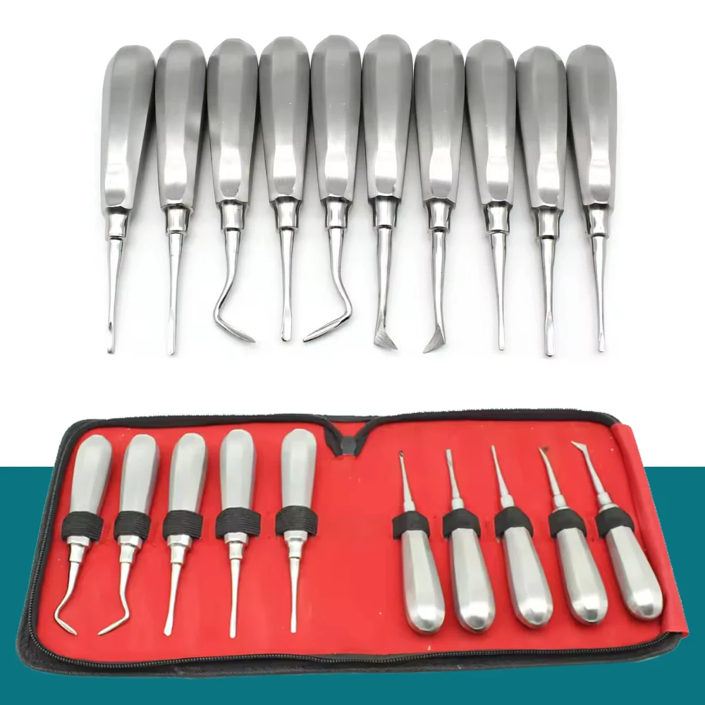 10 Pcs Stainless Steel Dental Elevator Set Minimally Invasive Tooth Extraction Straight Curved Root Elevators Dental Tools