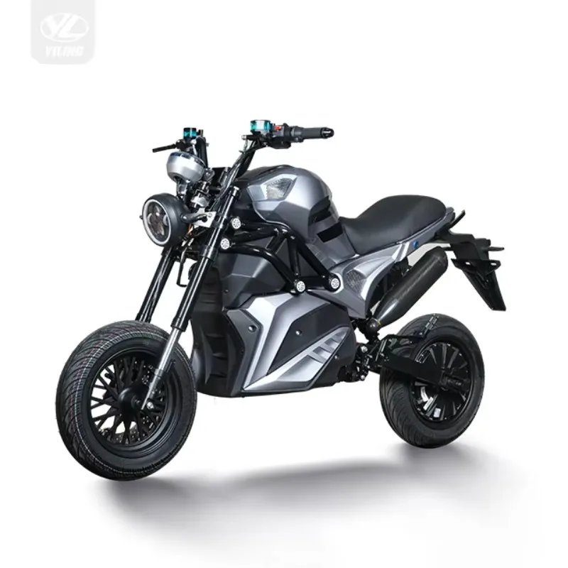 

2025 Newest Adult E Moped With Motor High Performance Electric Two Wheeler Motorcycles