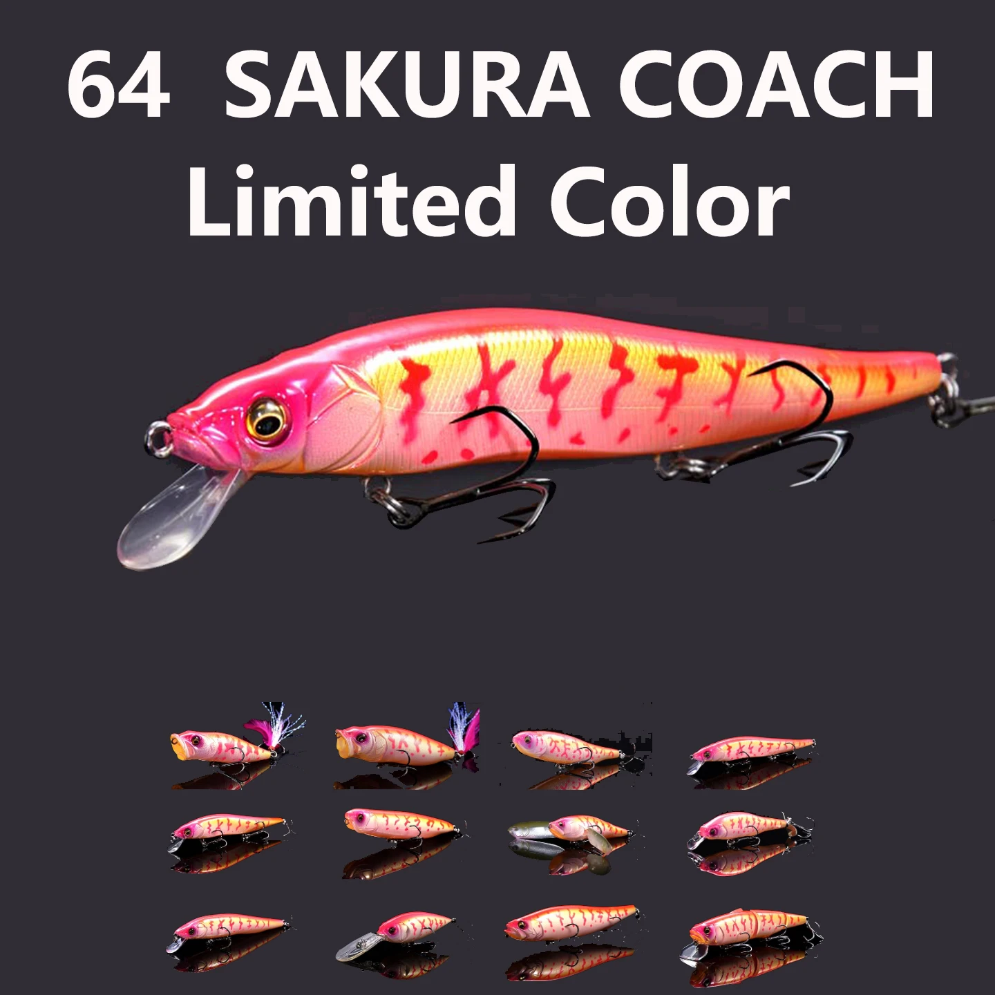 2024.5 NEW SAKURA COACH JAPAN Megabass Limited COLOR RESPECT 64