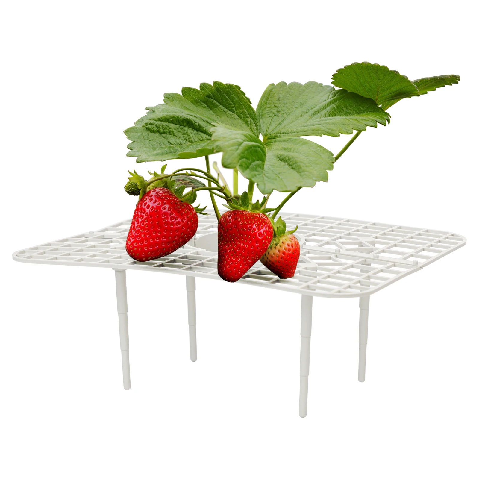 Strawberry Plant Support Strawberry Growing Racks Balcony Planting Rack Frame Holder