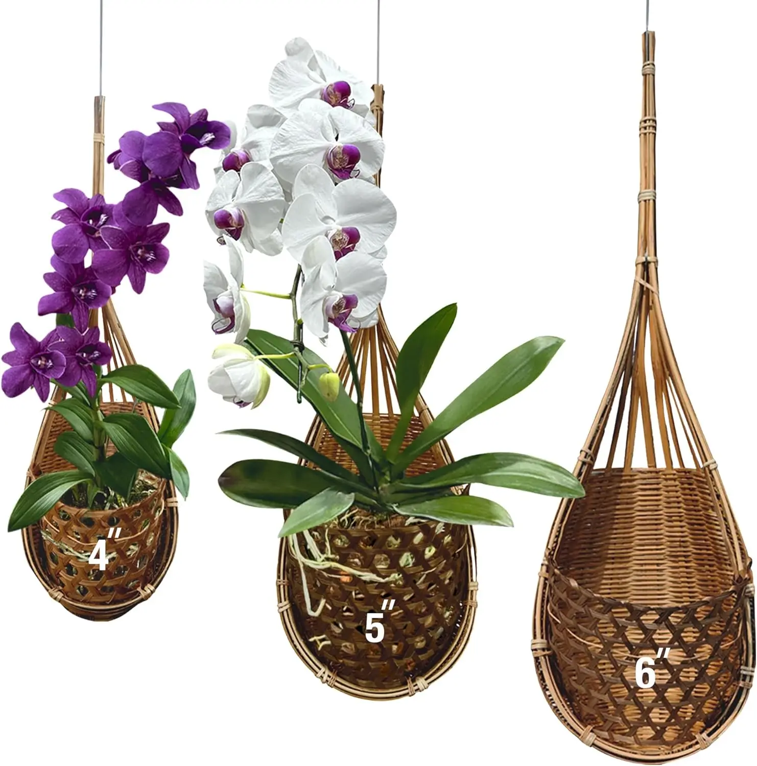 

Набор подвесных корзин для орхидей ручной работы из 100% тайского бамбука - 4, 5, 6 дюймов, три размера, для домашнего декора