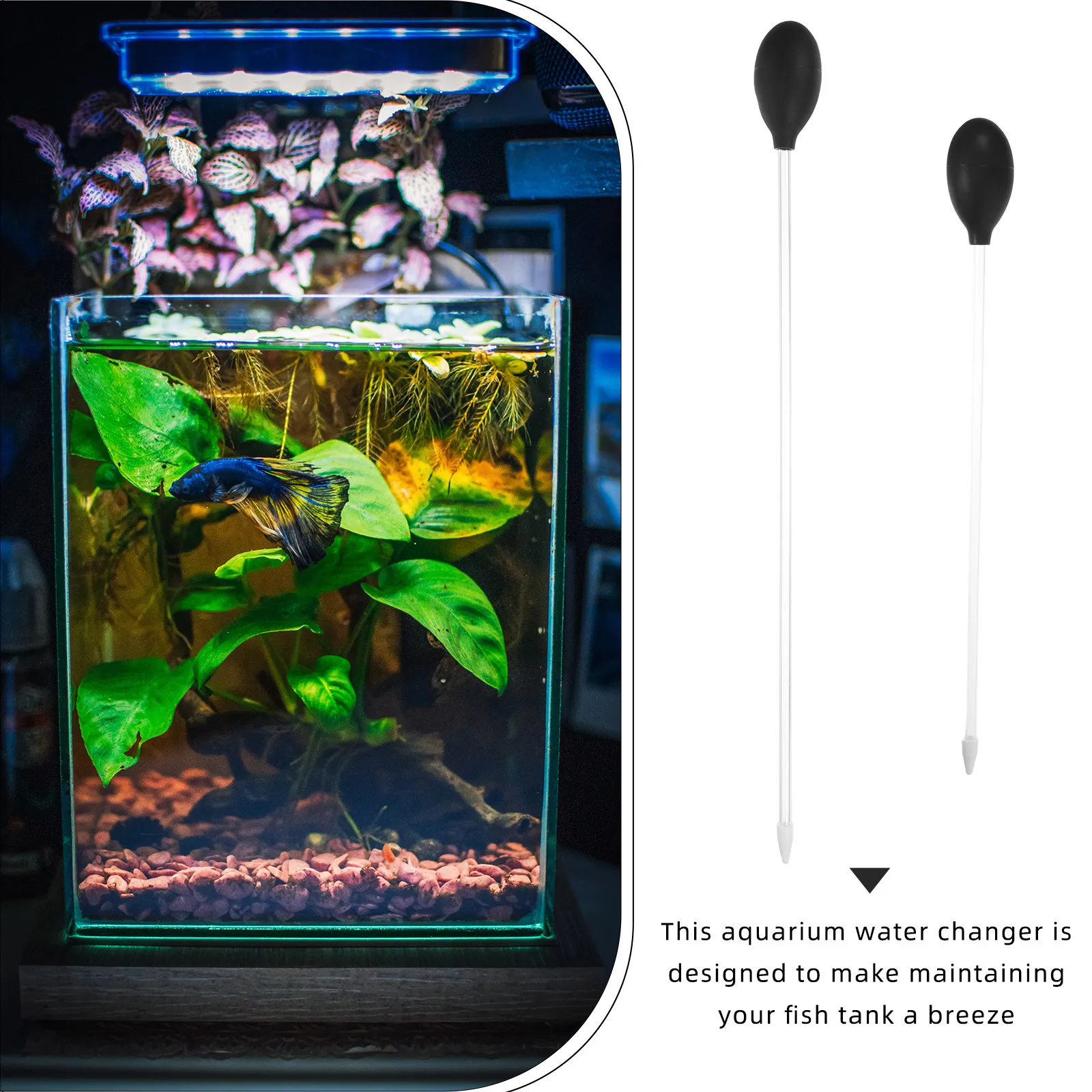 2pcs Aquarium Cleaning Tools C - Aquarium & Marine Museum Universiti Malaysia Sabah Kota Kinabalu Sabah Reviews ulasan dan harga
