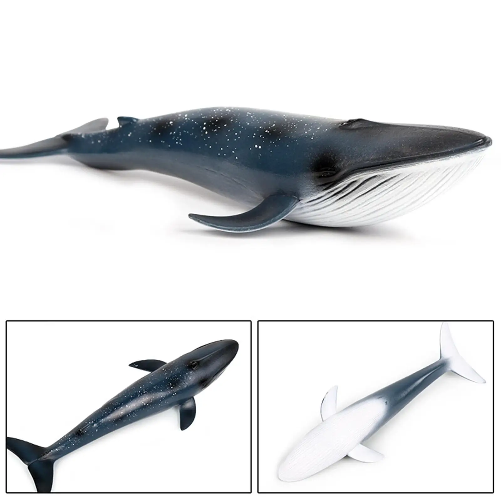 Blue Whale Model Simulation Sea Whale Toy Party Toy Educational Sea Animal