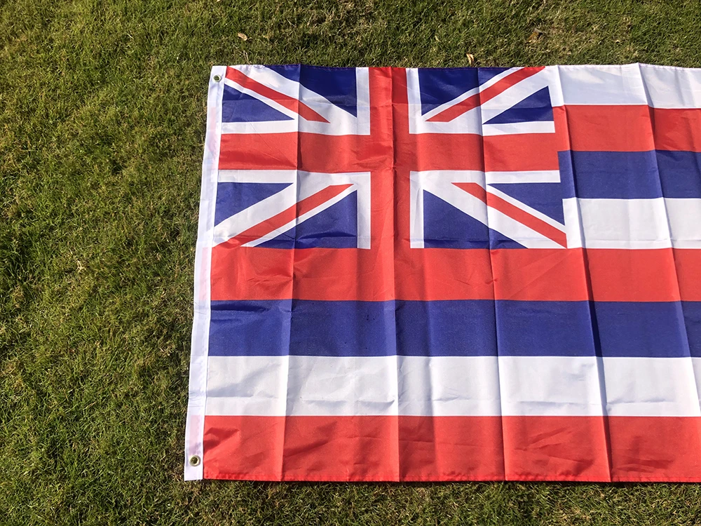 SKY Bandera hawaiana de poliéster para colgar, banderín país - imagen 4
