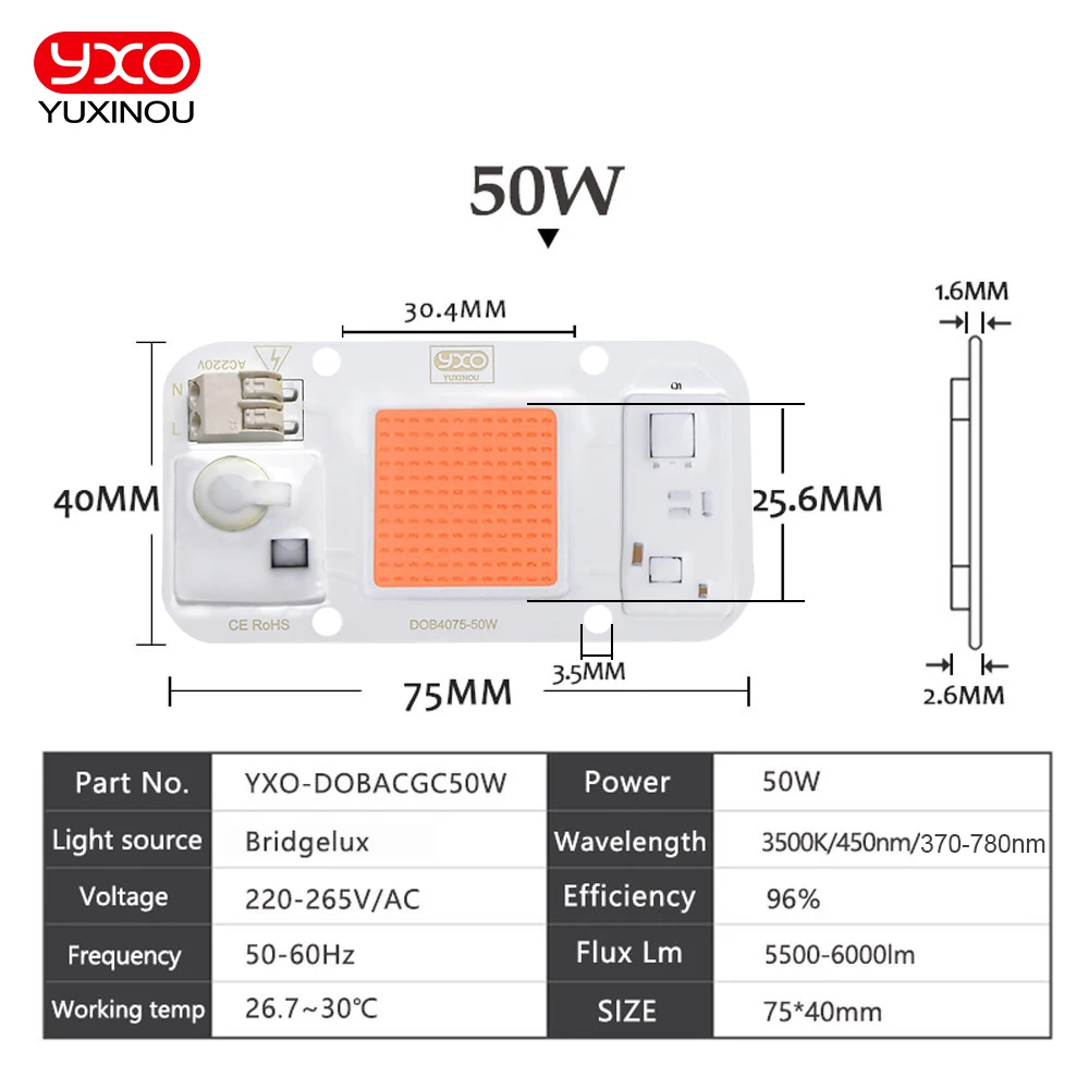 LED COB Bulb Chip 20W 30W 50W LED Lamp 230V Input IP65 Smart IC Fit For DIY Project LED Street Flood Light Cold White Warm White