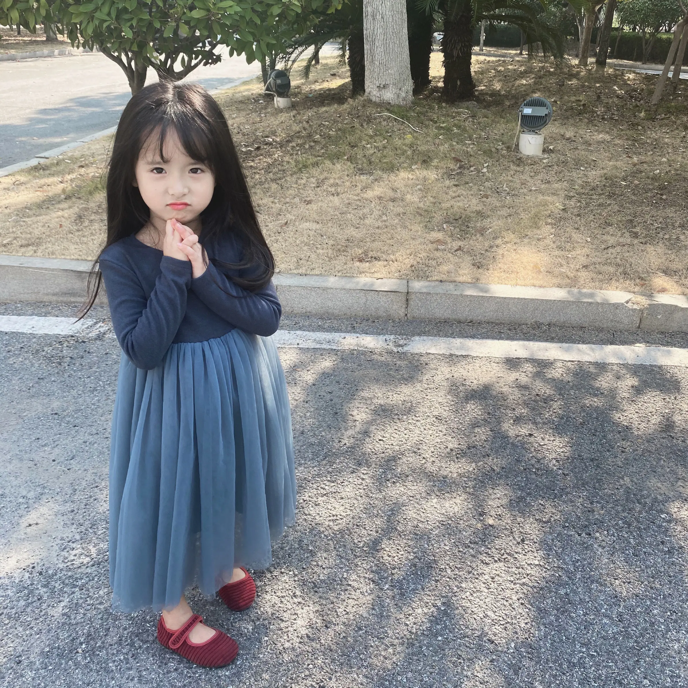2025 Autumn Girls' Australian Fleece Long Sleeve Puffy Tulle Princess Dress Soft Skin-Friendly Kids Clothing for 4-12 Years Old
