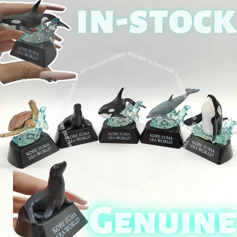 【 In Stock 】 Authentic Bulk Cargo Qualia Marine Life Animal Scene Model Dolphin, Killer Whale, Turtle Ornament Gift