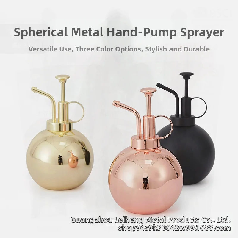 

Stainless Steel Mini Spray Kettle for Gardening Matte Black/Bright Gold/Bright Red Copper 500ML Household Watering Can Flower