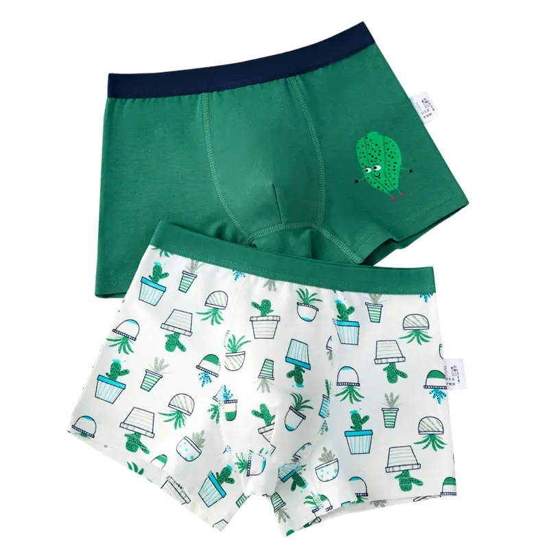 2pcs/lot Green Boy Underwear Boxer All Seasons Boy Cotton Underpanties Kids Clothes 3 4 6 8 10 12 14 Years Old OKU203020