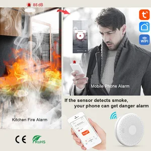 Tuya Smart Co & Smoke Detektor, Alarm, Kohlenmonoxid, Lounge, Wohnzimmer, Küche, Geschäft, Feuer, Pir, Schallsensor, Alarm, WiFi, 2 in 1 8 Hauptverkaufs -Flammensensor - №4