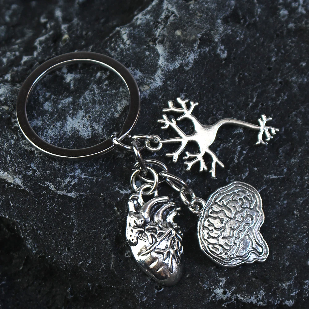 Medical Anatomy Key Brain Heart Nerve Cell Shaped Keychain Doctor And Nurse Bag Chain Jewelry Gift