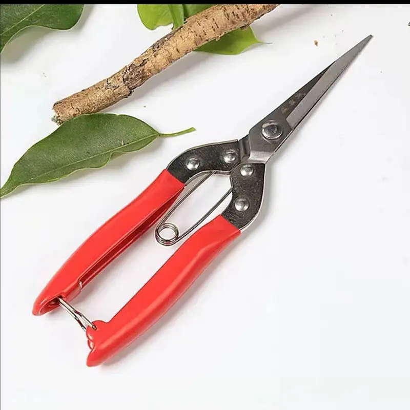 Stainless Steel Manual Garden Pruning Shears Potted Flower Branch Shears Orchard Picking Shears Fruit And Vegetable Shears