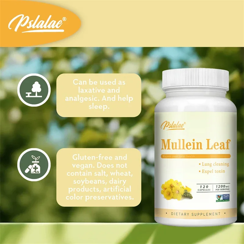 

Капсулы с листьями Mullein — для очищения легких помогают здоровому респираторной функцию и добавке мусорных мембран