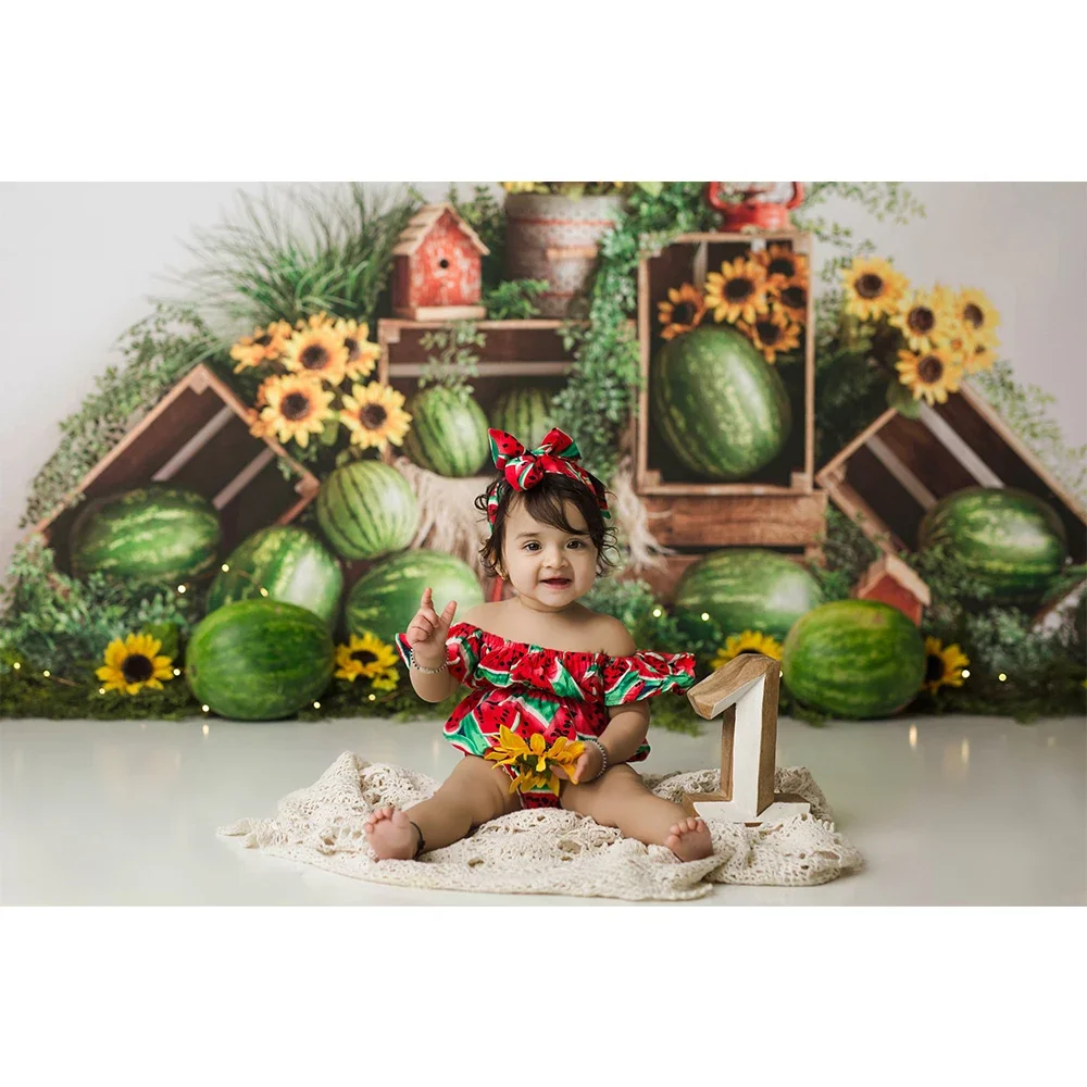 الصيف البطيخ عباد الشمس التصوير خلفية الميدان الأطفال كعكة عيد ميلاد سحق صورة خلفية الصورة استوديو الدعائم