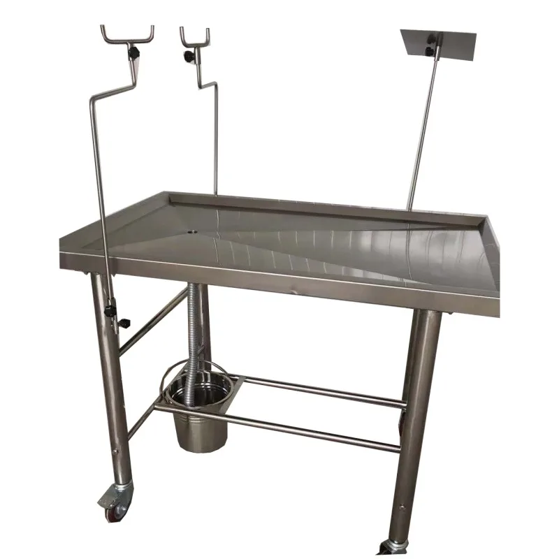 2026 Veterinary Surgical Equipment Animal Surgical Anatomy Table Vet Operating Table for Animal Care and Supplies