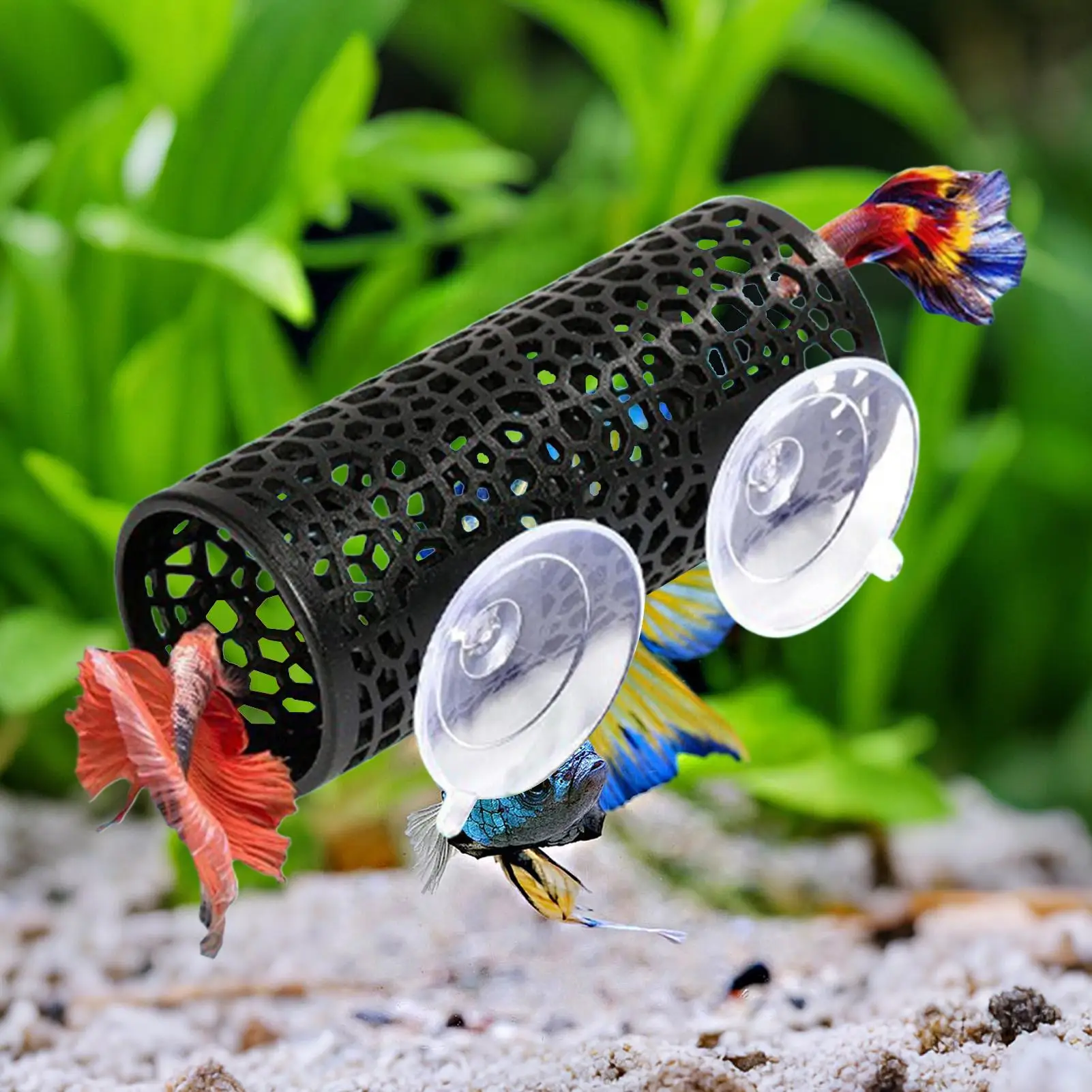 Betta-Fisch-Versteck, hohles Röhrenornament mit Saugnapf, sicheres Ruhe- und Schutzversteck, Aquarium-Landschaftsdekoration, kleines Haustier-Aquarium – Detail 1