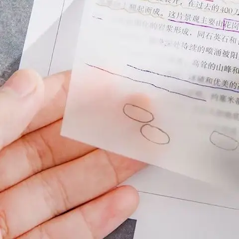 

50 листов креативные прозрачные липкие заметки для домашних животных, водонепроницаемые липкие заметки, студенческие канцелярские принадлежности, школьные канцелярские товары