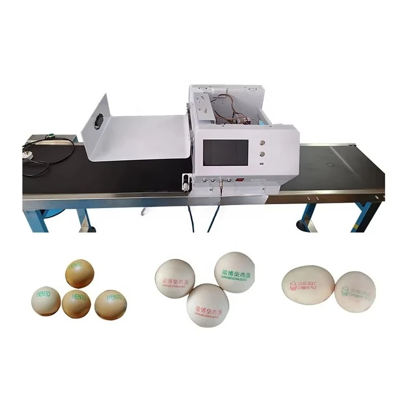 Customized Egg Printing Machine Stainless Steel Conveyor Type Egg Brand Date Code Inkjet Printer For Egg Processing Line