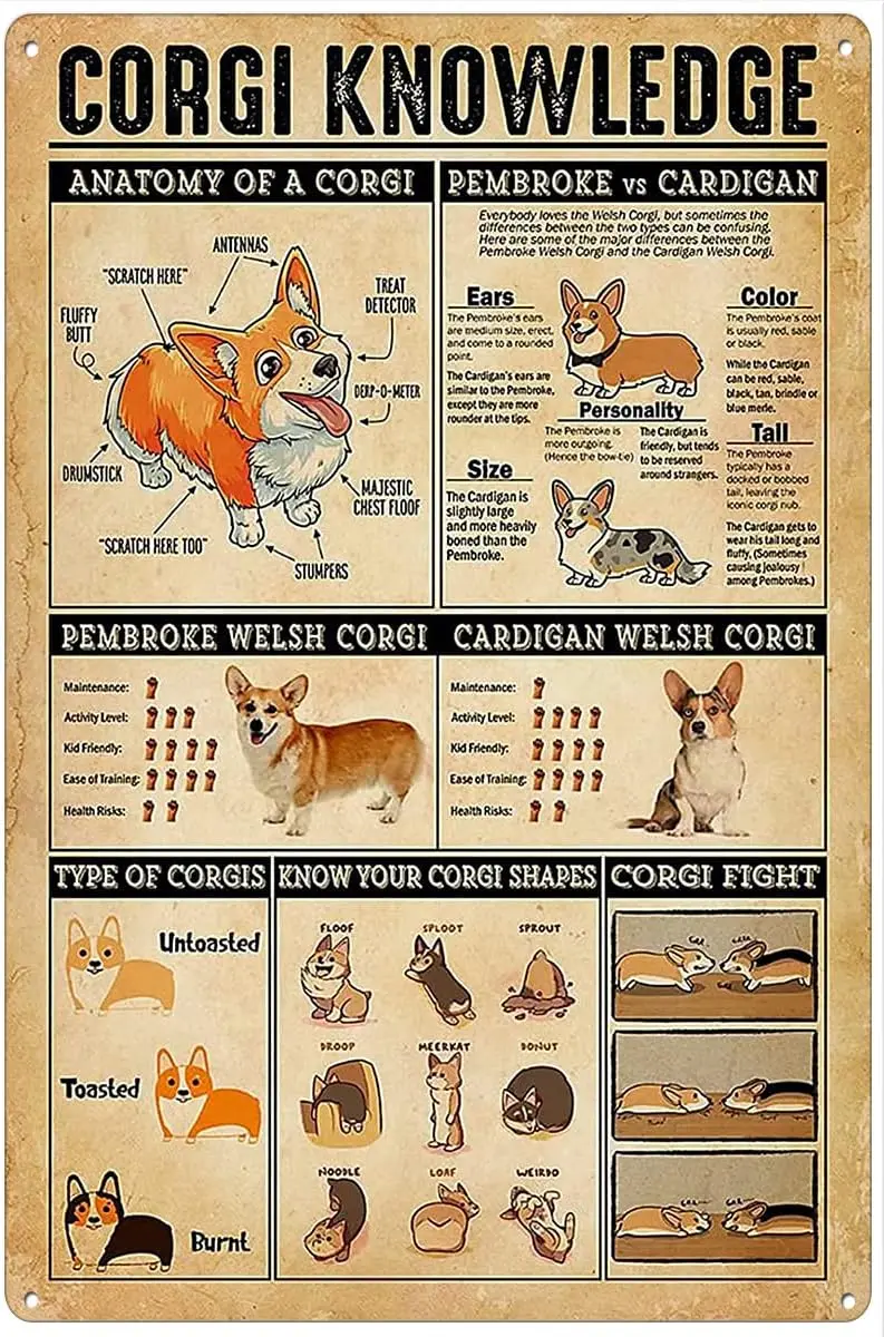 Affiche rétro en métal avec motif Corgi, cadeau amusant pour les amoureux des chiens vintage, affiche décorative