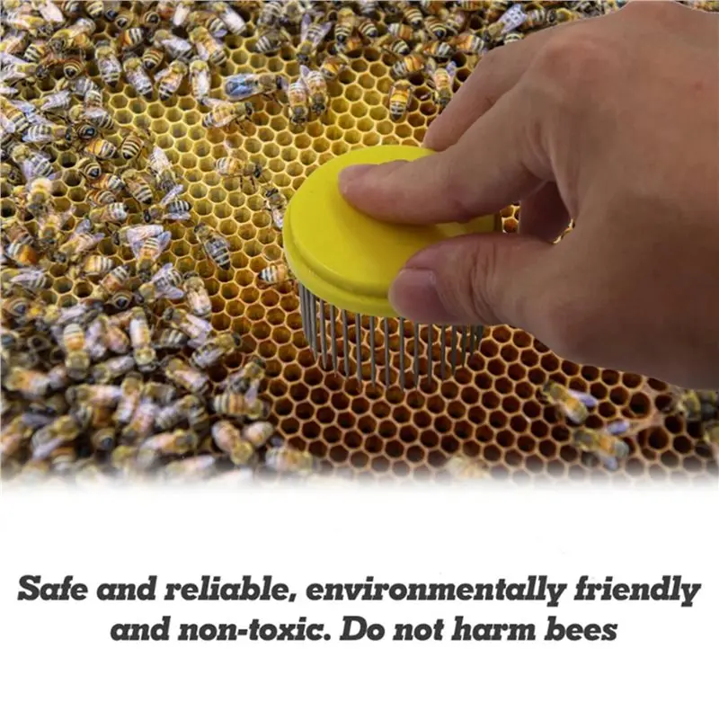 DTEN-12Pcs Beekeeping Tool Stainless Steel Needle Queen Bee Cage Isolation Box Beehive Rearing Cover Catcher Beekeepers Tool