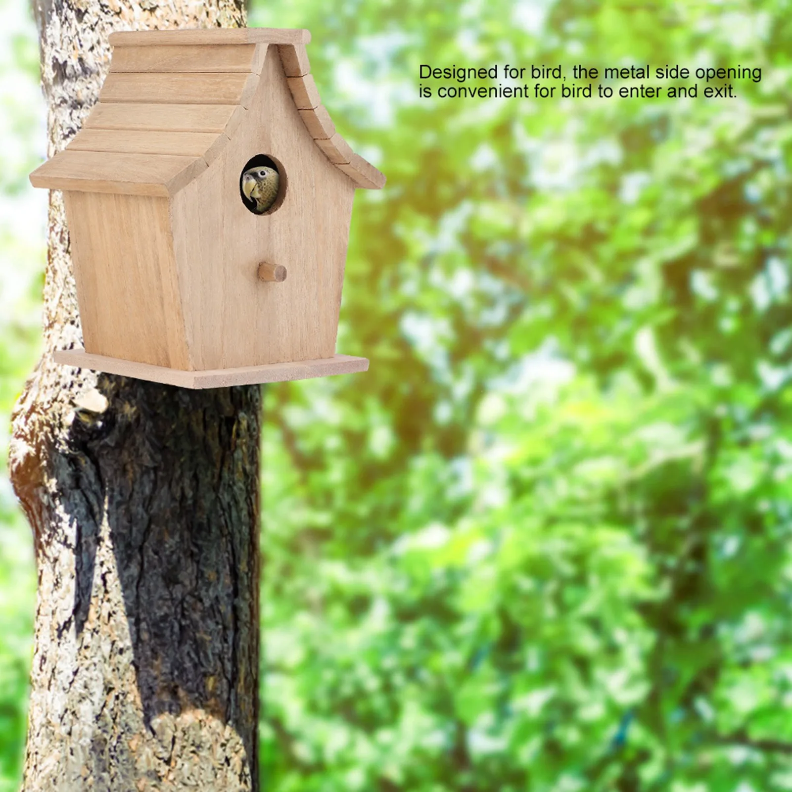 Thumbnail 4 - #81 Best Bird Supplies to Buy In 2026