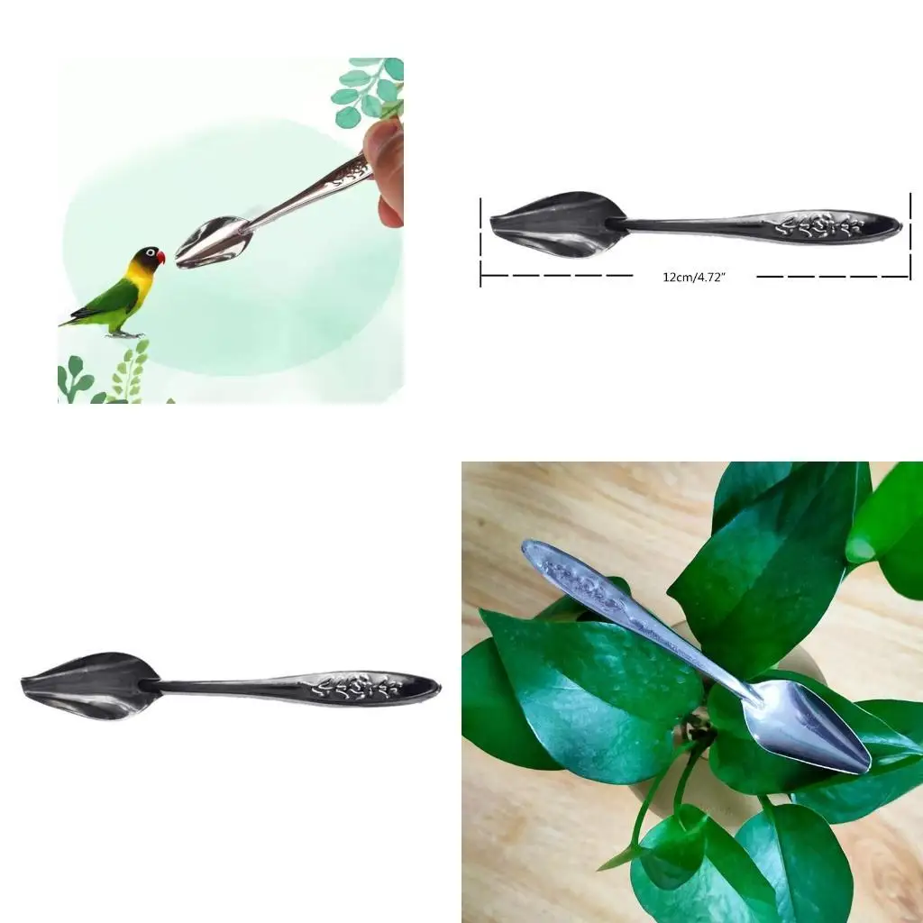 L9BE Bird Feeding Spoons Stainless Steel Feed Young Birds Metal Drinker