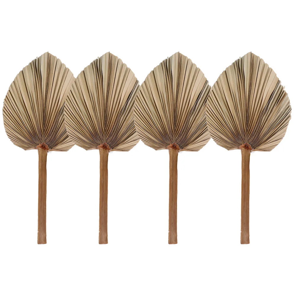 Decoration Wedding Decor Tropical Trimmed Boho Natural Leaves Dried Plant Fan Leaf Palm Spears