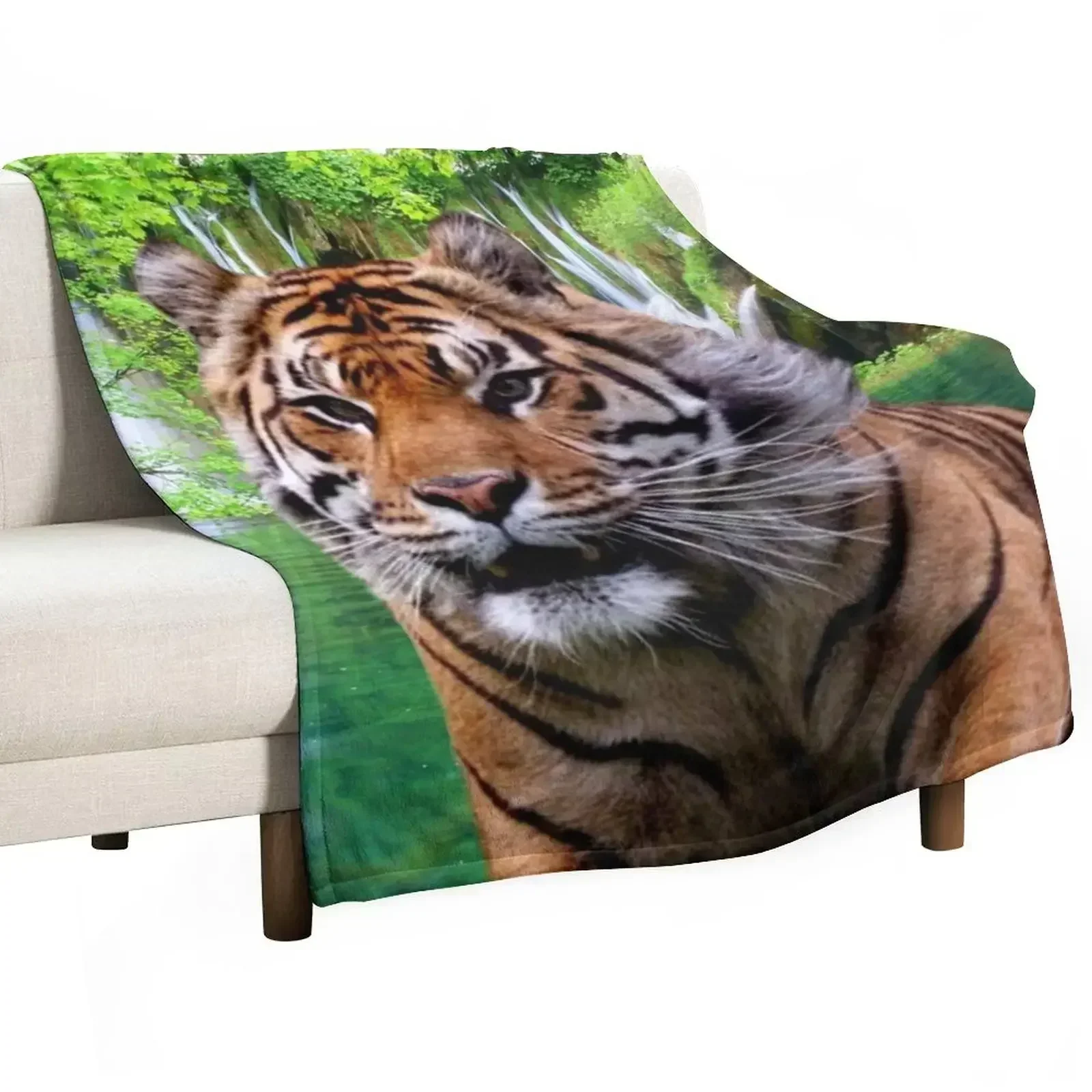 Tiger and Waterfall Throw Blanket Designers heavy to sleep Sofa Throw Single Blankets